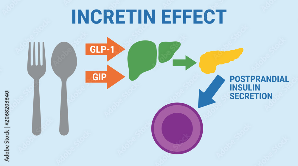 glp-1 incretin effect PDB-101: Diabetes Mellitus: Diabetes Mellitus: undefined: Incretins Incretin-based therapy of metabolic disease