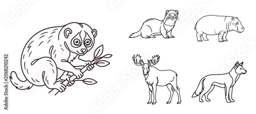 Photography Slow Loris and Wild Animal Icon Set