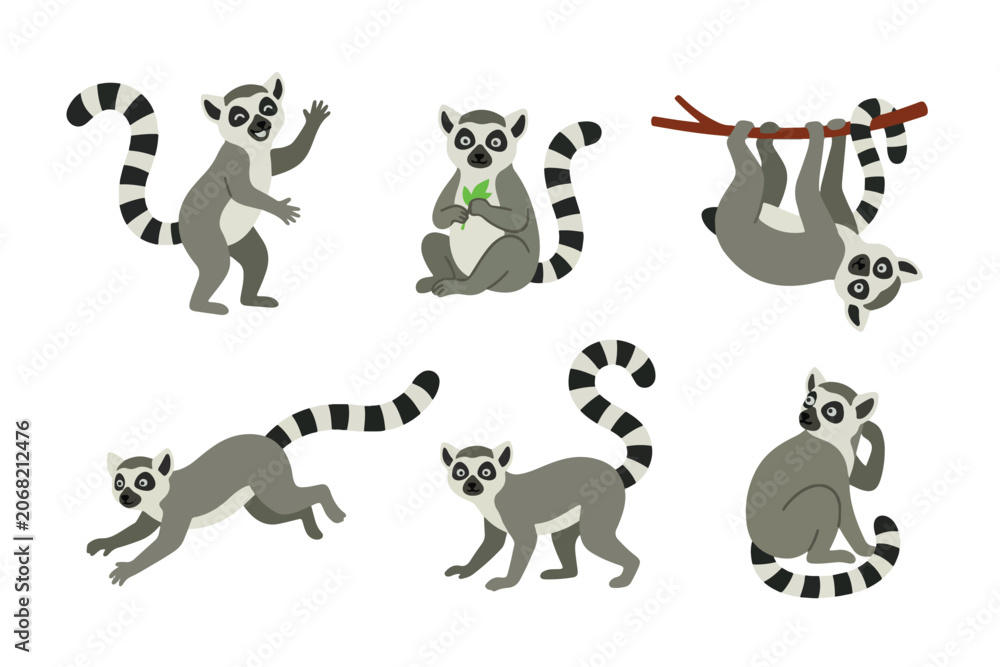 Obraz premium Cute Ring Tailed Lemur Character Clipart Set, Flat Vector Baby Lemur Mascot Collection for Kids Nursery Sticker and Patterns