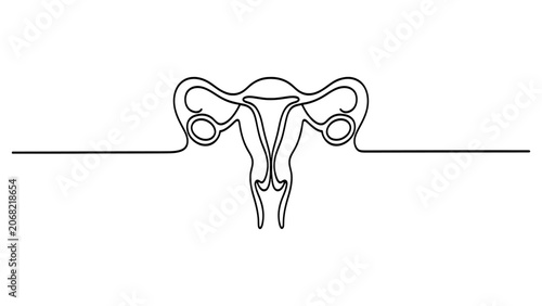 Bild auf Leinwand Continuous single line drawing of human female reproductive system uterus and ov