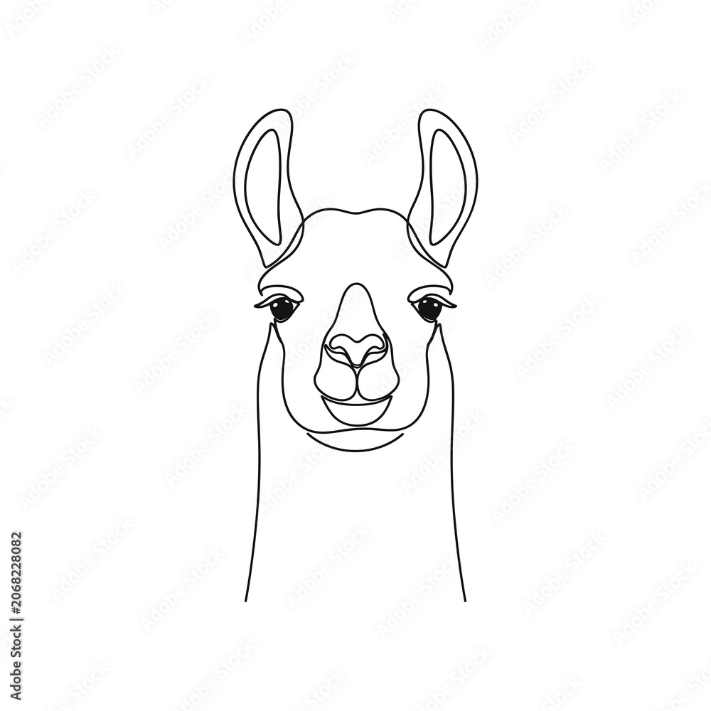 Fototapeta premium Simple Thin Line Drawing of a Lama Head Outline