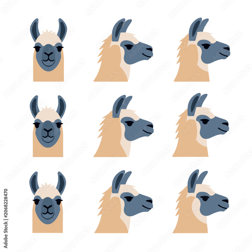 Fototapeta premium Grid of Small Minimalist Lama Profile Icons