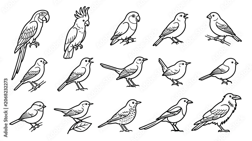 Obraz premium Set of various hand drawn birds and parrots sketch.