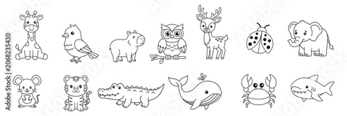 Outlined Animal Drawings Set
