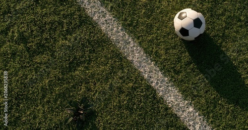 A soccer ball rests on a green grass field near a white boundary line