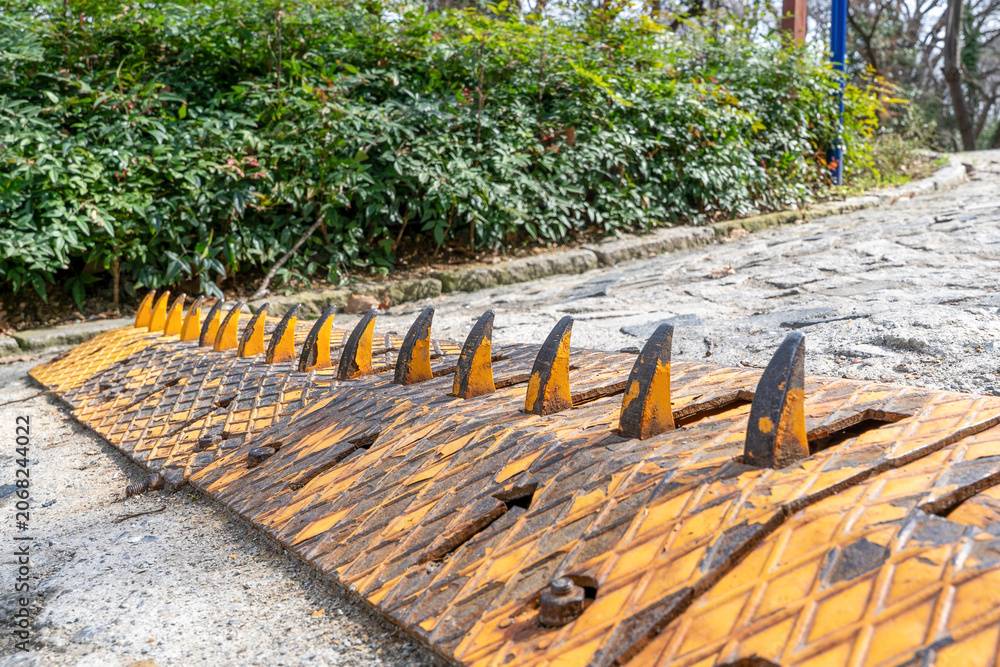 Obraz premium Orange and black anti-vehicle spike security strip installed on a road surface with green hedge behind, urban access control infrastructure.