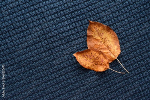 Close-up of a knitted sweater with autumn leaves. Autumn background with two autumn leaves
