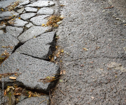 Old cracked concrete. The path, wet from the rain, is covered with old concrete pavement