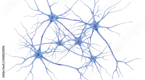 Interconnected Neurons Brain Cells Network Illustration.