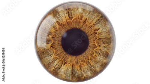 Close up macro view of a human brown iris with intricate details and a dark pupil.