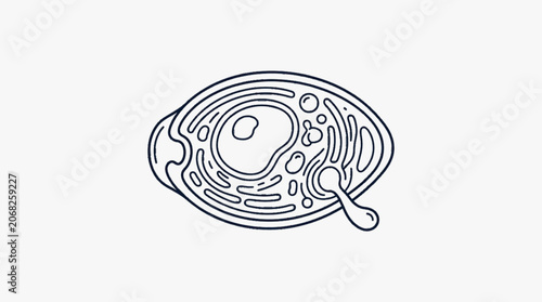 Konstfotografi Illustration of a human cell with organelles and nucleus.