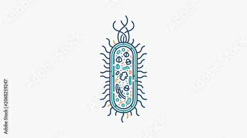 Tableau sur toile Illustration of a single bacterium cell with flagella and internal organelles