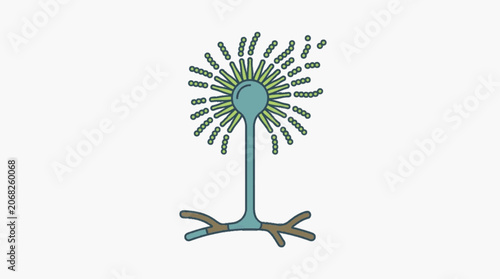 Photos Microscopic view of Aspergillus fungus spore structure.