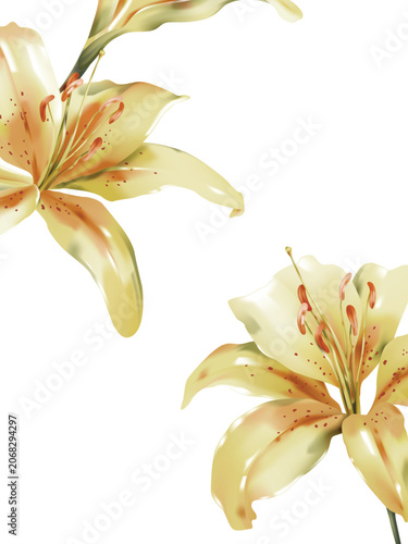 Flower wall art, minimalist stylized watercolor-style yellow Lilium Pollyanna...