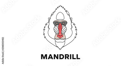 Photography Mandrill Head Minimalist Vector Illustration