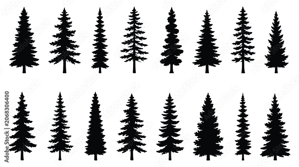 Fototapeta premium Silhouette of three evergreen pine trees standing tall in a forest. Christmas tree icon set. Vector illustration of pine silhouette. pine tree set. EPS 10. 