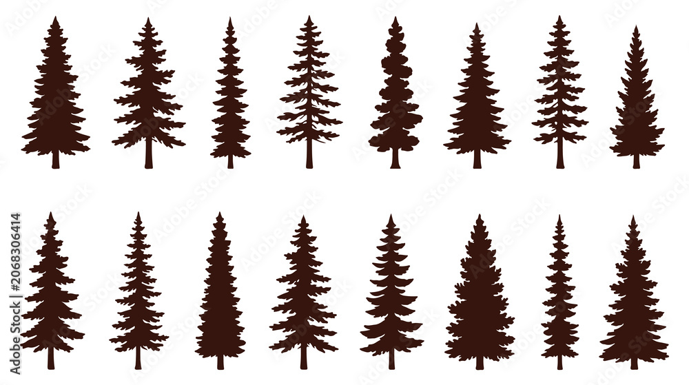 Fototapeta premium Silhouette of three evergreen pine trees standing tall in a forest. Christmas tree icon set. Vector illustration of pine silhouette. pine tree set. EPS 10. 