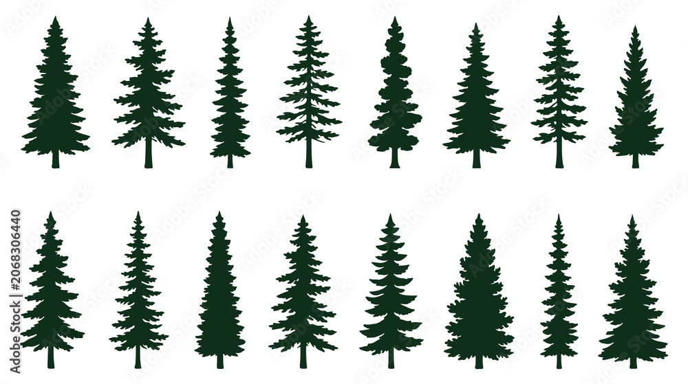 Obraz premium Silhouette of three evergreen pine trees standing tall in a forest. Christmas tree icon set. Vector illustration of pine silhouette. pine tree set. EPS 10. 