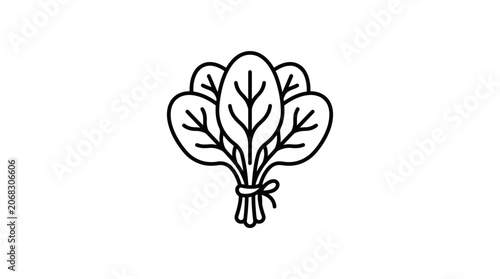 A simple black and white line art illustration of a bunch of fresh spinach leaves.