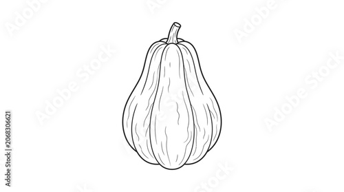 A detailed black and white line art drawing of a single ribbed pumpkin.