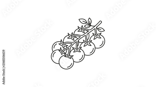 A simple black and white line art illustration of a cluster of cherry tomatoes on a vine.