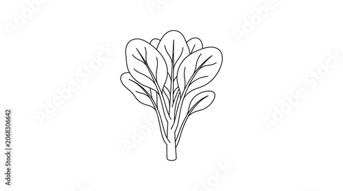 A simple black and white line art illustration of a bunch of fresh spinach leaves.