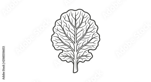 A detailed black and white line art illustration of a single leafy green vegetable leaf.