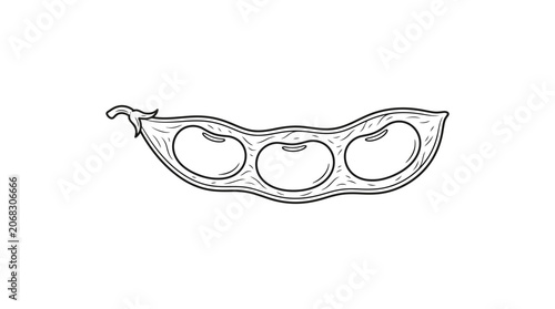 A detailed black and white line art illustration of an open pea pod with three peas inside.