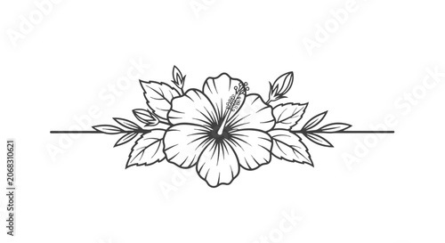 Line Drawing of Flowers and Leaves.