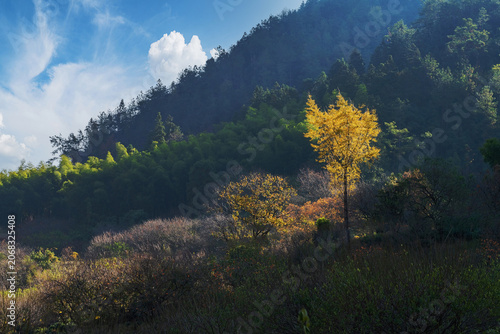The natural beauty of Mount Huangshan Scenic Spot in autumn in Anhui Province, China was photographed on November 18, 2025