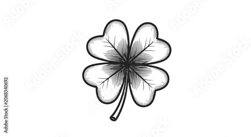 Black and White Four Leaf Clover Illustration.