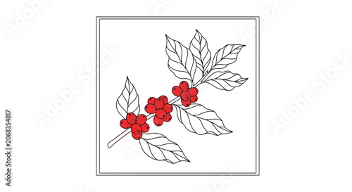 Coffee Branch with Red Berries and Leaves, Hand-Drawn Style