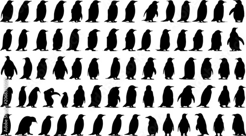 Photos Penguin Silhouette Icon Collection with Standing, Walking, and Waddling Marine B