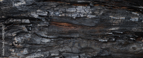 Photos Grey black burned wood texture background, charcoal surface grunge background, b