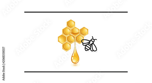 Honey Bee and Honeycomb with Dripping Honey