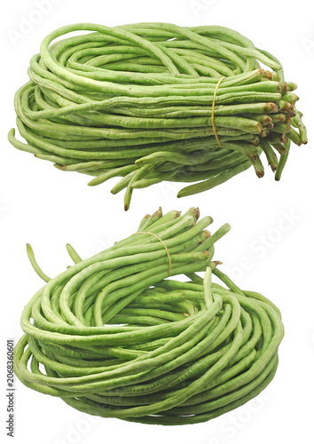 Fresh raw green yardlong beans tied in bundles isolated on white background