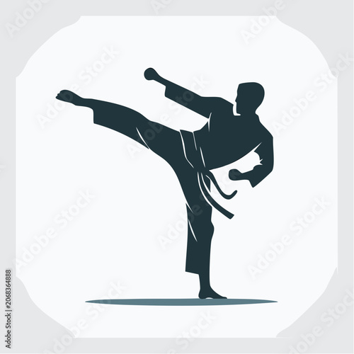 Dynamic martial arts silhouette powerful high kick symbolizing strength, discipline, and athletic combat training