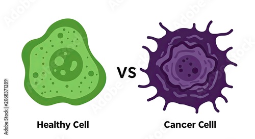 Comparison of Healthy Cell and Cancer Cell Structures
