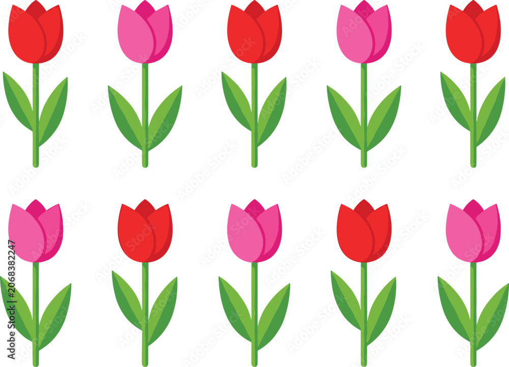 Obraz premium Colorful tulip flower collection with red and pink blossoms, spring botanical vector illustration set