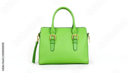 Fashionable green handbag with gold buckles and a detachable strap, perfect for everyday use or special occasions