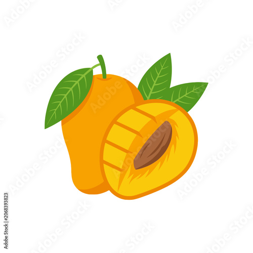 Fresh yellow mango fruit with green leaves on white background
