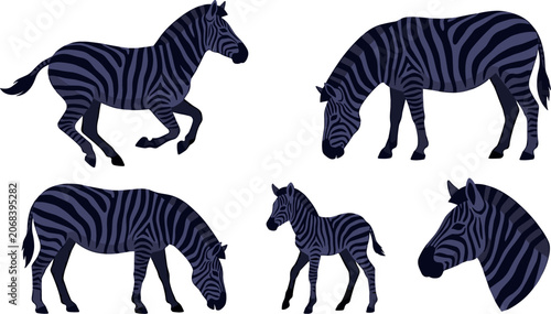 Bild auf Leinwand Flat Vector Cartoon Illustration Set Featuring Various Zebras with a Running Sta