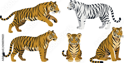 Photography Flat Vector Cartoon Illustration Set Featuring Various Tigers with a Pouncing Be