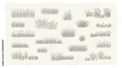 Vintage hand drawn grass tufts and meadow plants collection, 20 botanical field greenery vector elements, rustic sketch wild grass set