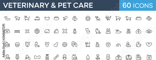 Comprehensive icon set for veterinary and pet care services with diverse animal and medical symbols vector