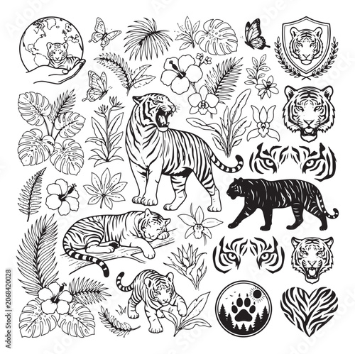 Photography Tiger and tropical jungle botanical vector set, black and white wild cat illustr