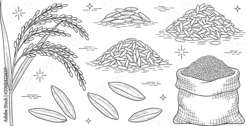 Принти на полотні Rice plant stalk ears agriculture harvest set with burlap sack canvas bag full o