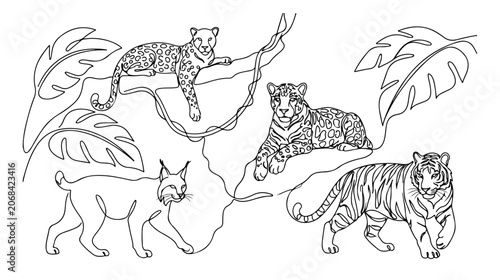 Canvas Print Continuous line art big cats vector set, elegant jungle animal illustrations, mi