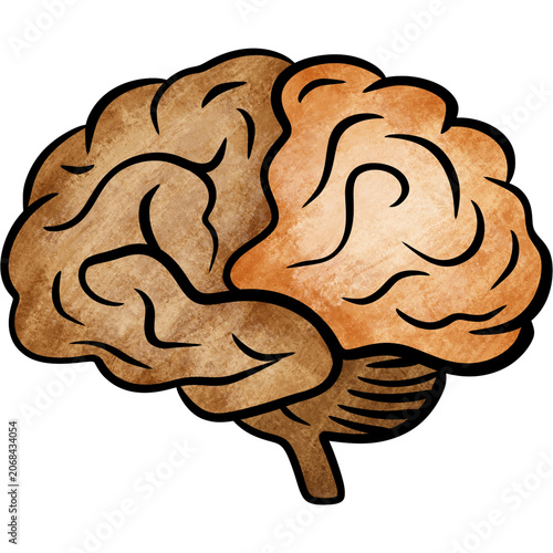 Quadro su tela human brain illustration