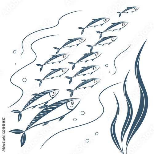 School of fish swimming together underwater with seaweed and bubbles line art schooling fish swimming underwater wildlife creature schooling together resource illustration movement